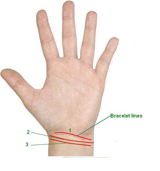 palmistry Know your Future Palmistry lines Bracelet line on the wrist